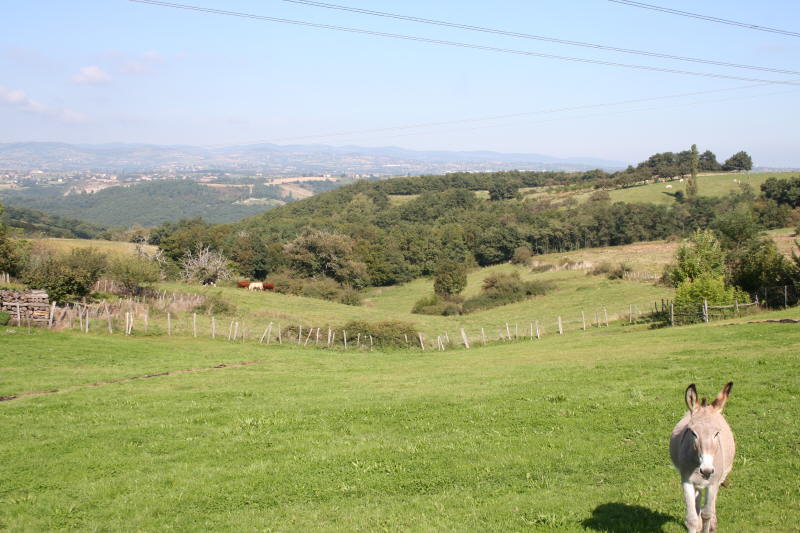 002 Plateau du nord est du Pilat