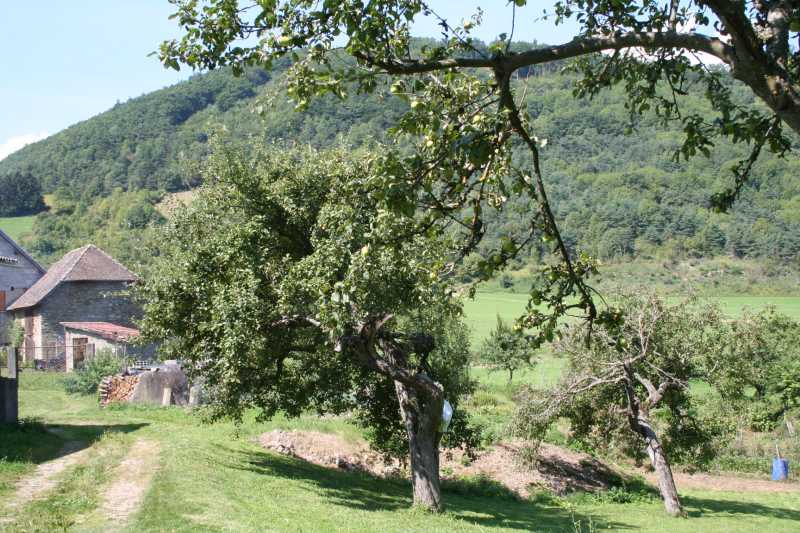 019 Basse vallee et corniche du Drac