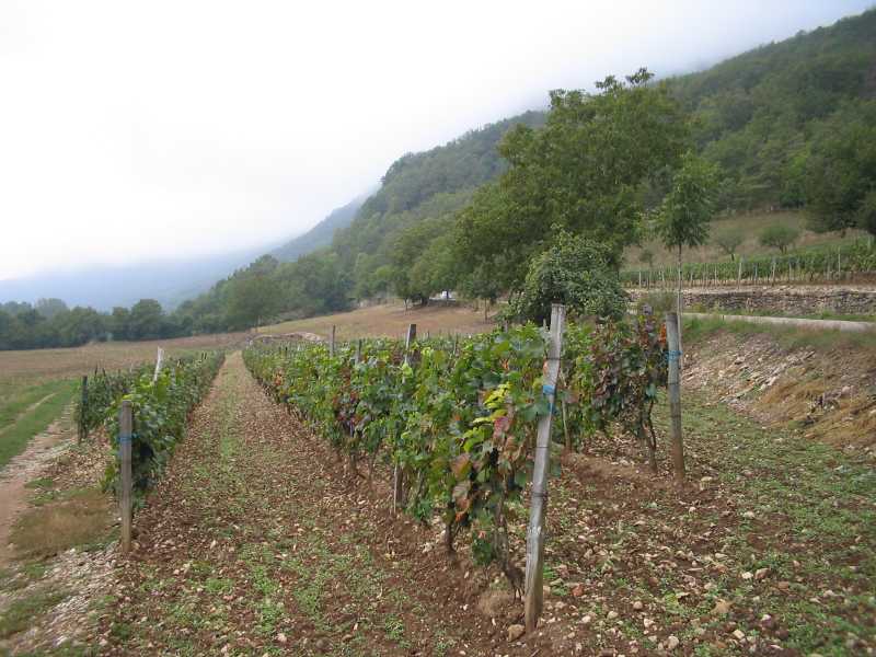 01 Collines du bassin de Belley