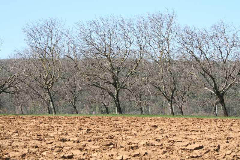 01 Collines entre les plaine de la Drome et des Adrans