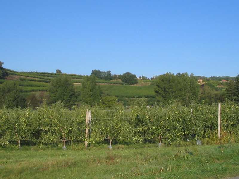 01 Collines Rhodaniennes