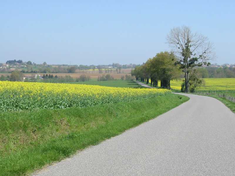 01 Cotiere ouest de la Dombes et rive gauche du val de Saone