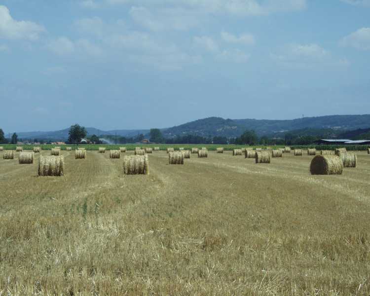 01 Plaine de Beaurepaire