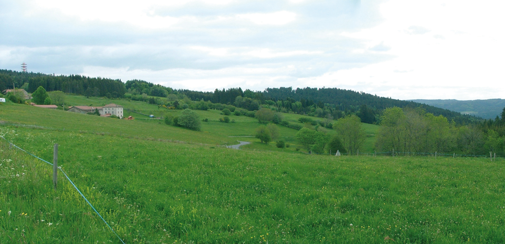Pâturages et hameau non loin de Champagnac-le-Vieux