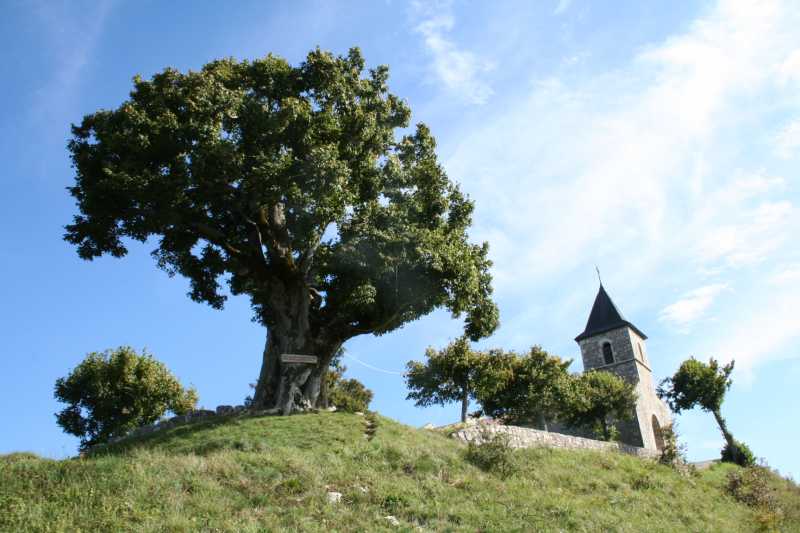 02 Massif du Mollard de Don et ses rebords