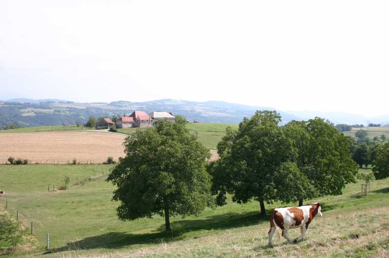 062 Sud ouest des terres froides