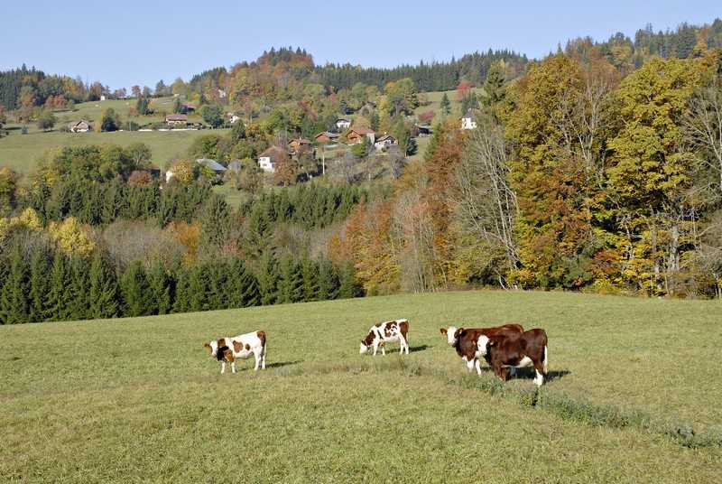 09 Pays de Boege ou vallee verte