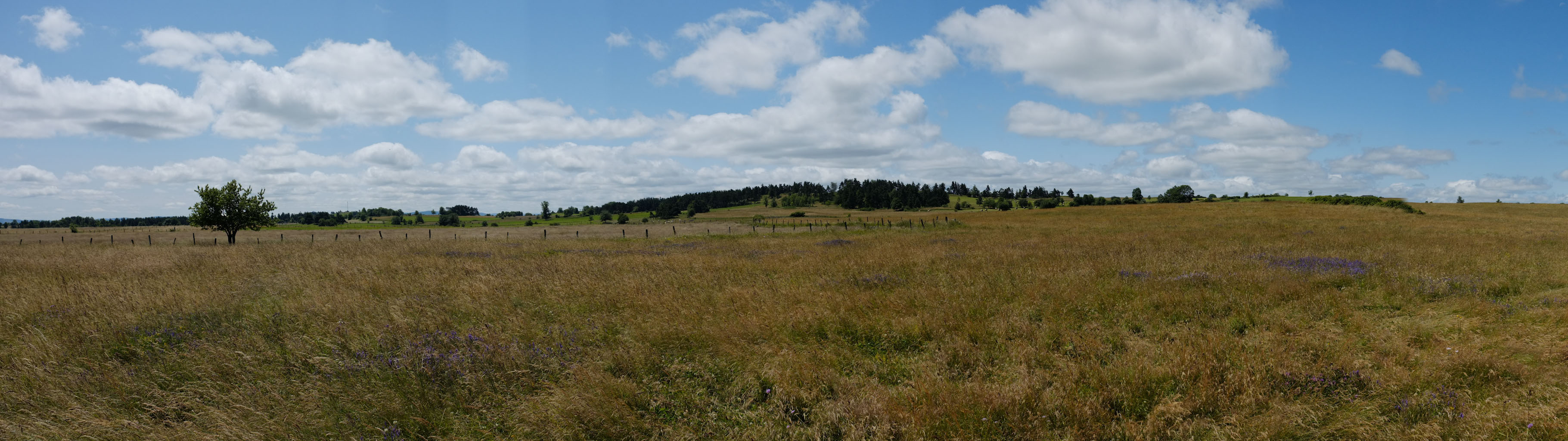 1-05 Massif du Cantal / Ambiance de planèze