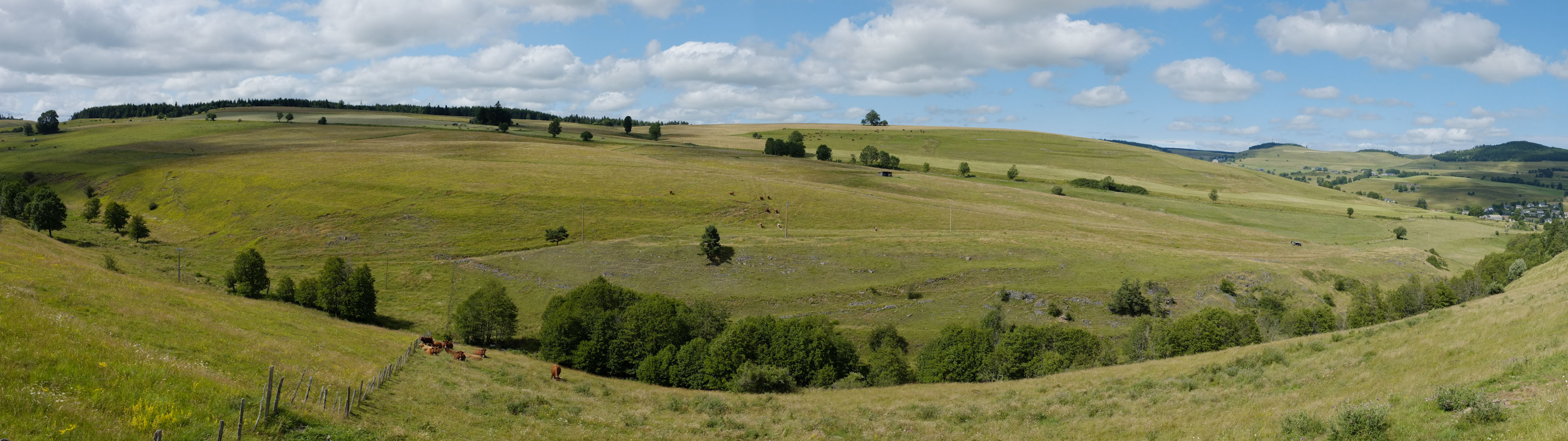 1-03 Cézallier / Environs d'Allanche