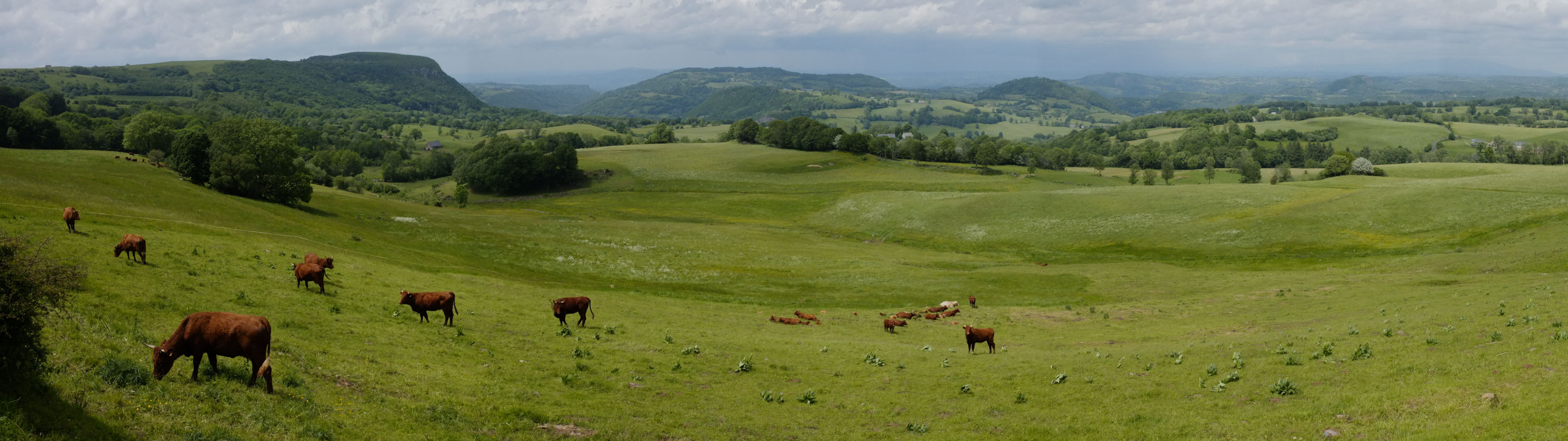 1-05 Massif du Cantal / Environs de Valette