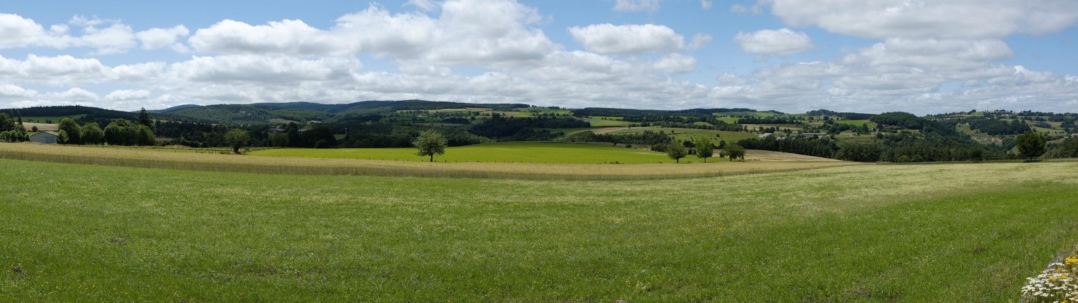 1-06 Aubrac / Entre Chaudes-Aigues et Anterrieux