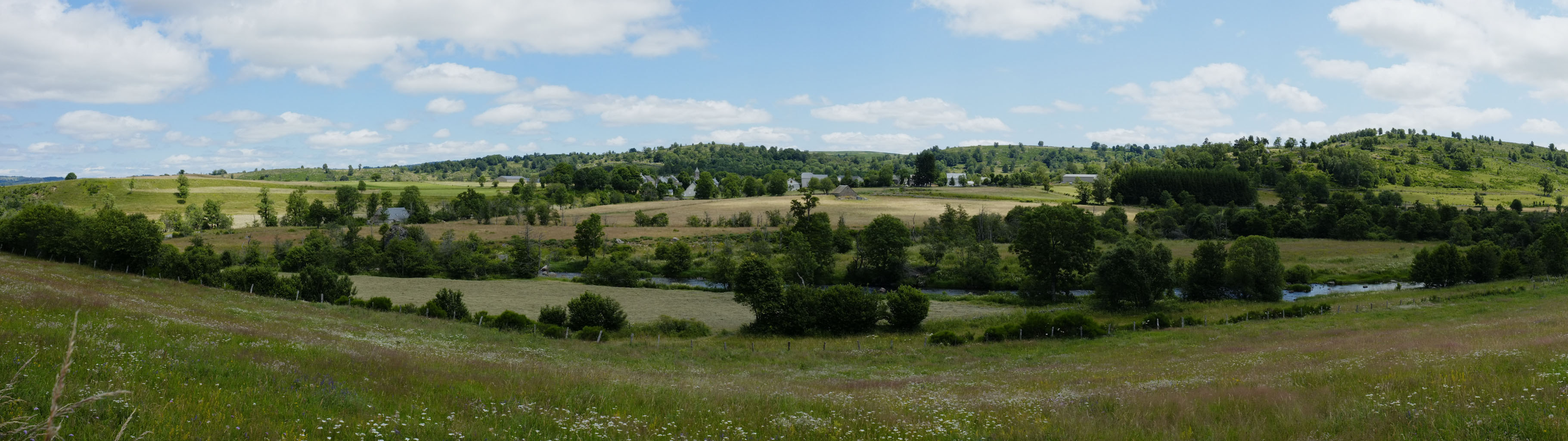 1-06 Aubrac / Le long du Bès