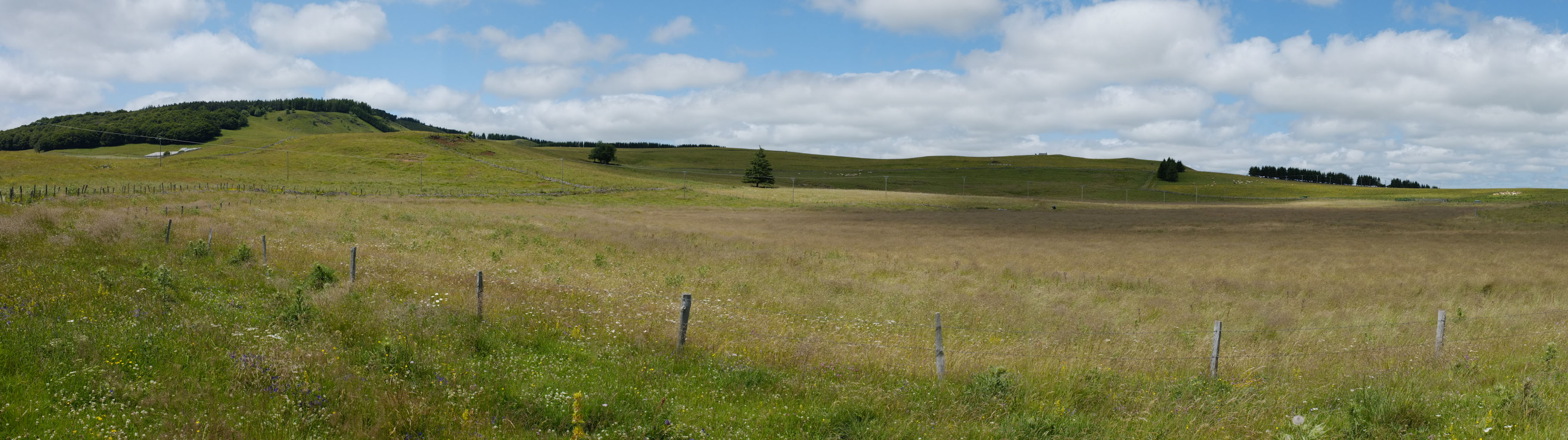 1-06 Aubrac / Hêtraies et herbage au sud de Saint-Urcize