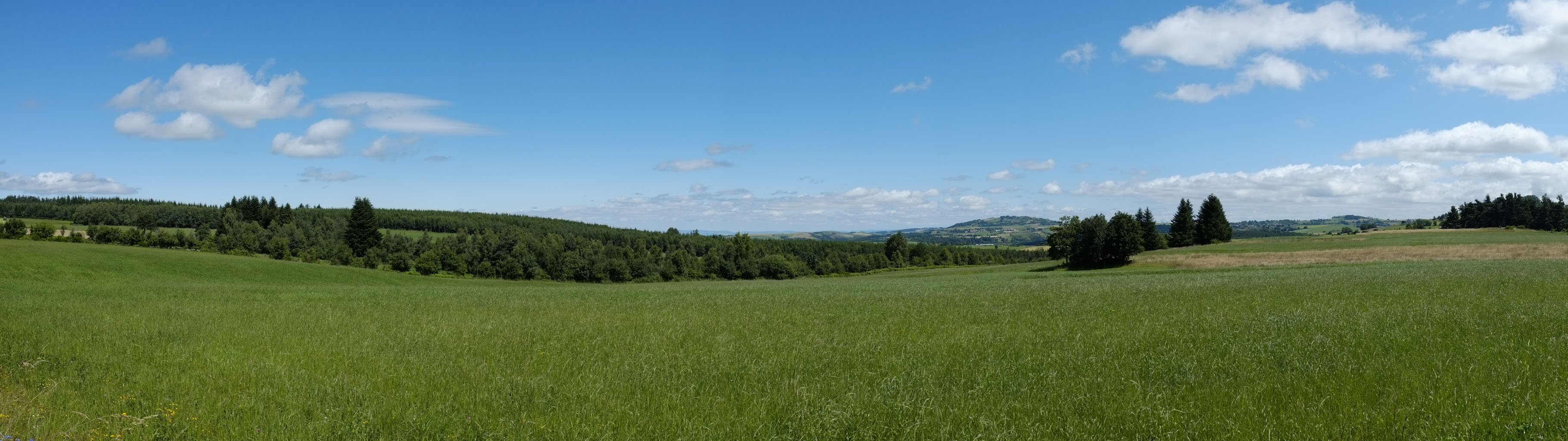 1-08 Margeride / Au-dessus de Vieillespesse