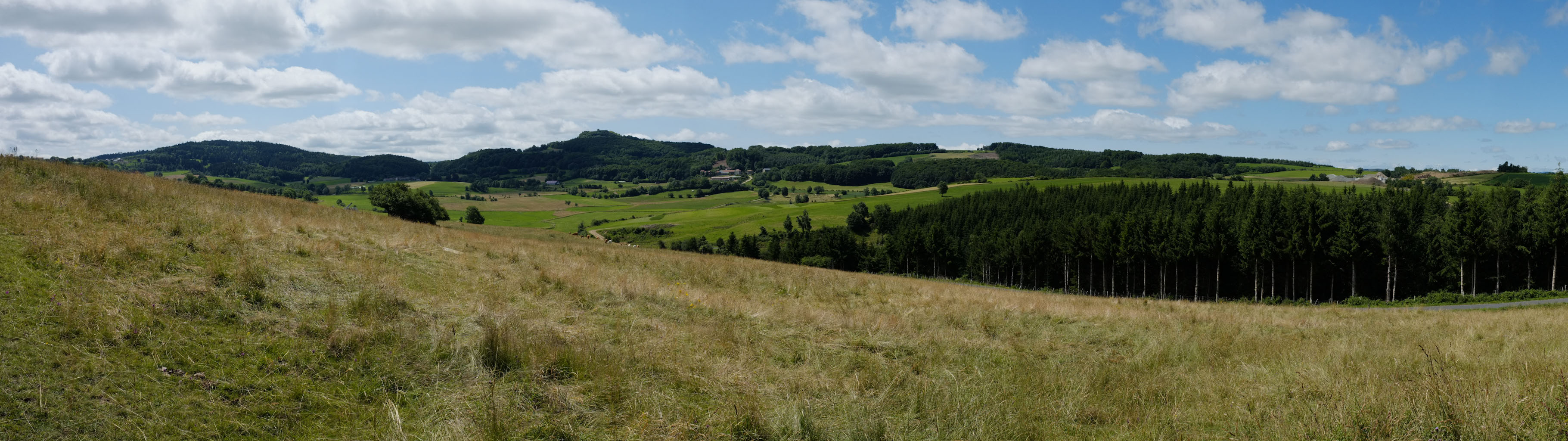 1-08 Margeride / Sous les forêts du Bouchet et de Védrines