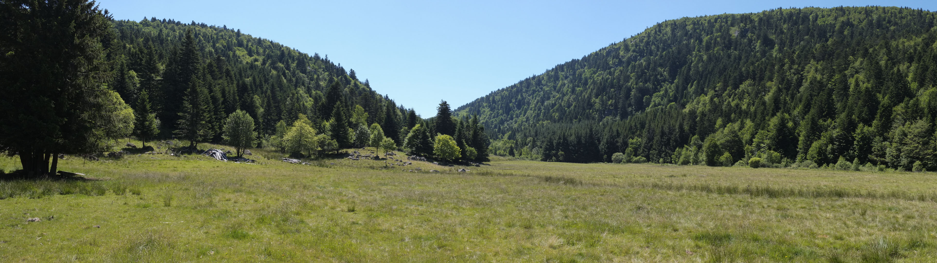 1-10 Monts du Forez / Pâturage et hêtraie-sapinière du Fossat