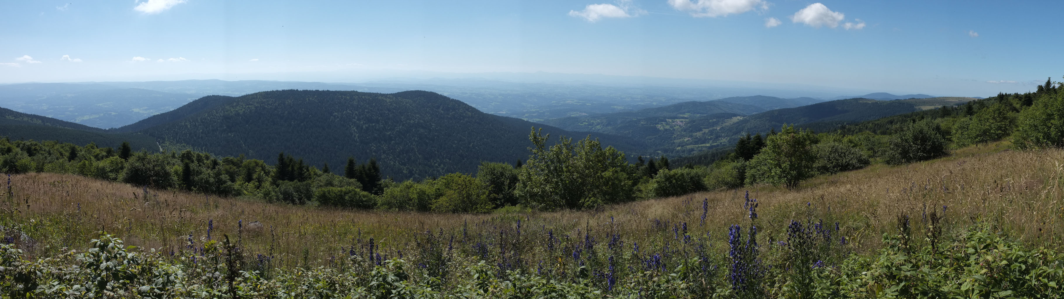 1-10 Monts du Forez / Depuis les Hautes-Chaumes, sous Pierre-sur-Haute, vers l'ouest