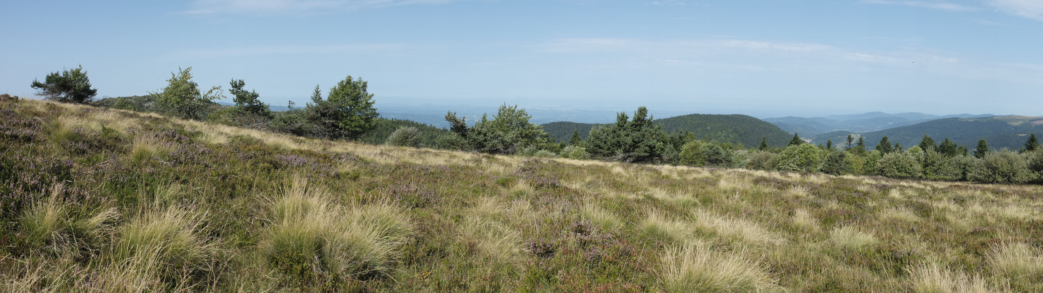 1-10 Monts du Forez / Landes au-dessus de la vallée du Fossat