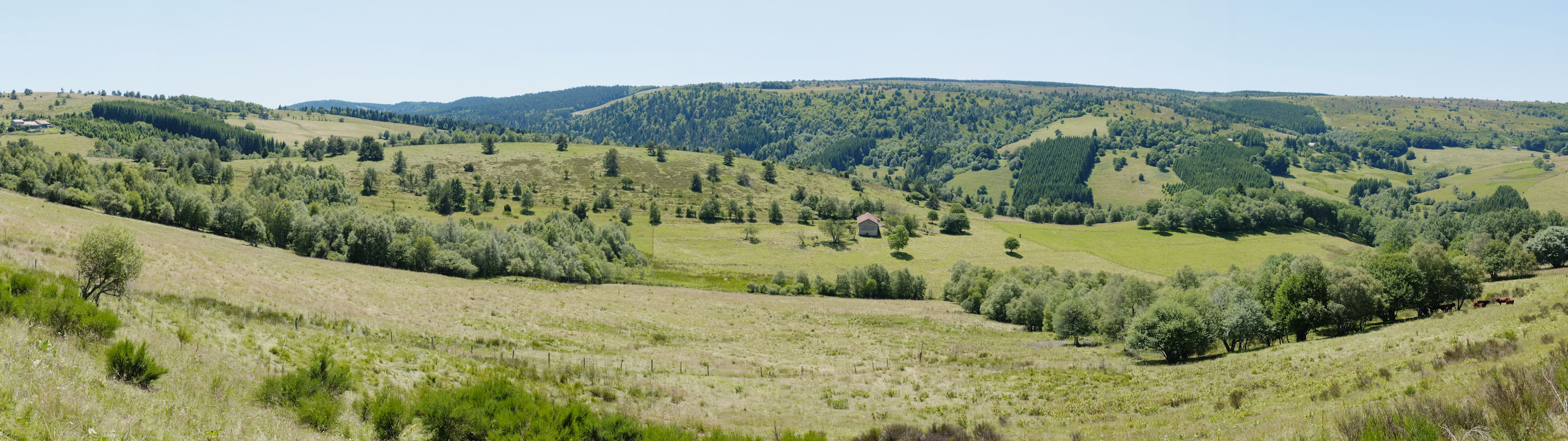 1-10 Monts du Forez / Montagne des Alebasses