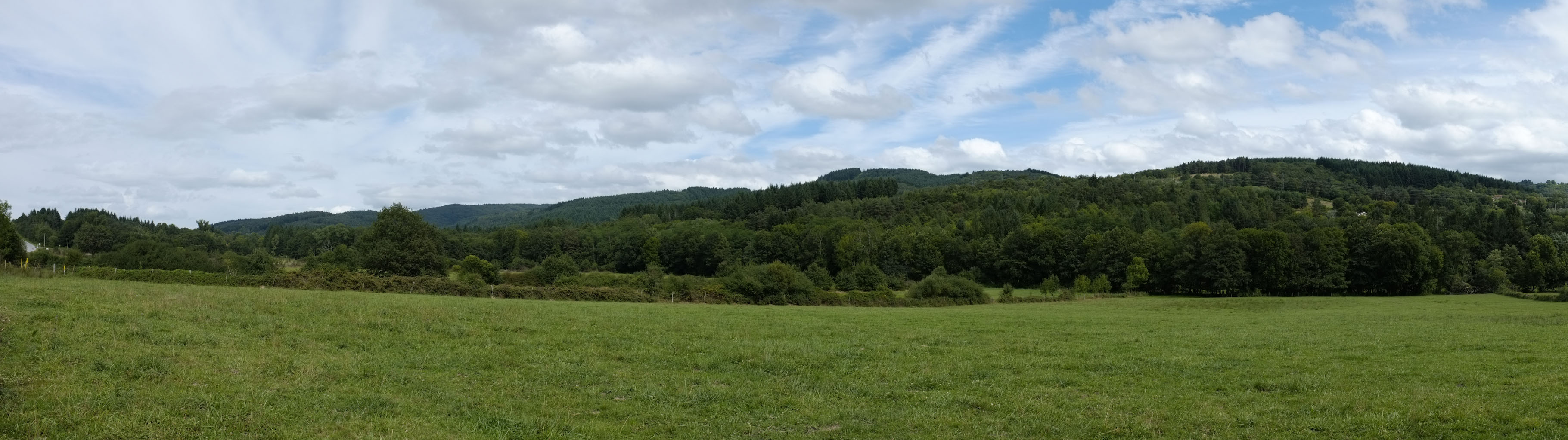 2-01 Bois noirs et Montagne bourbonnaise / Les Bois noirs depuis les environs de Thiers