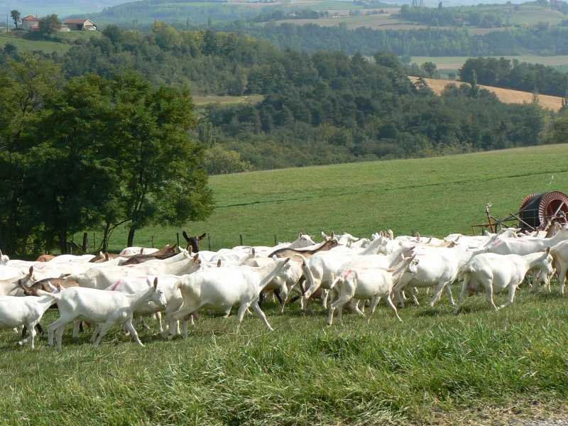 21 Vallees de la Galaure et de l Herbasse