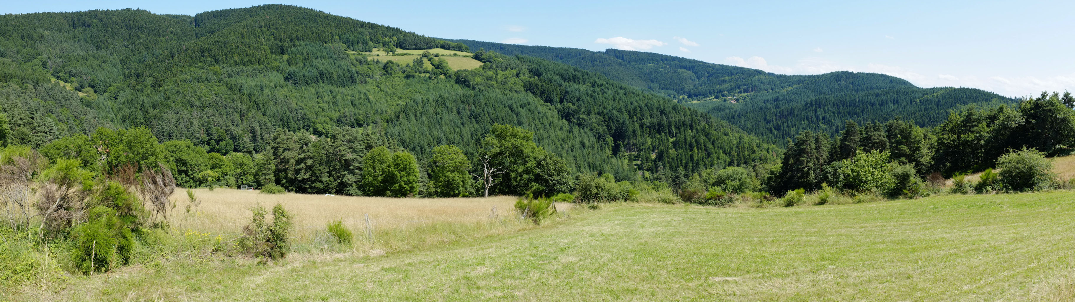 3-02 Pays coupés du Livradois / Non loin de Montclard