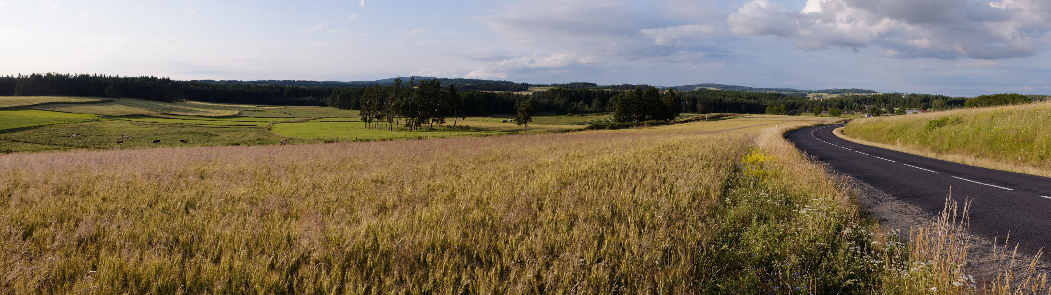 4-02 Pâtures, champs et bois entre Craponne-sur-Arzon et Jullianges