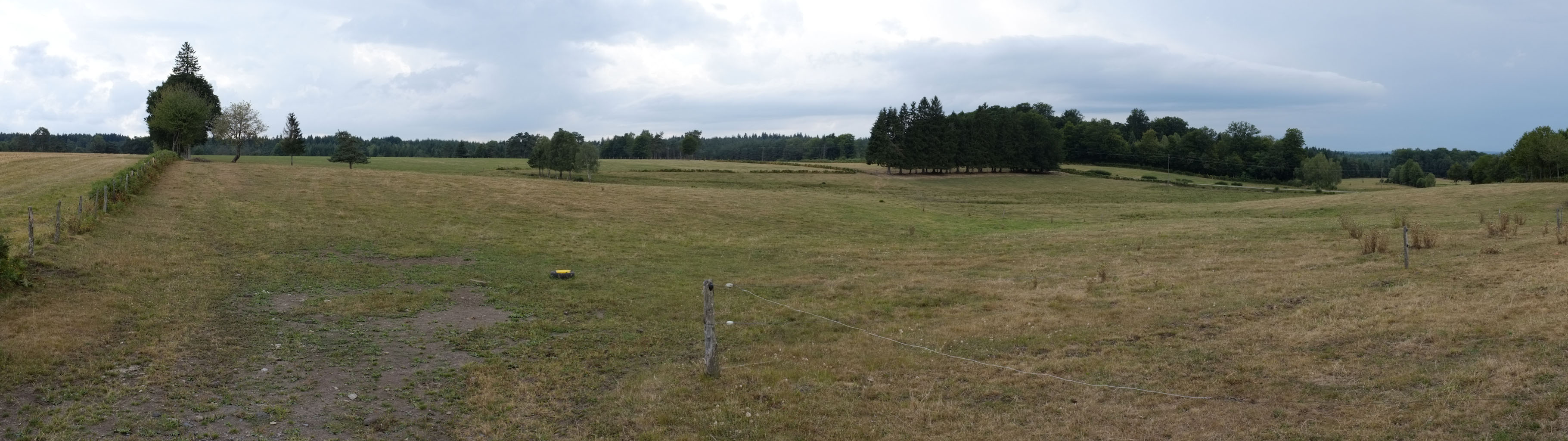 4-05 Combrailles / Bois et pâturages vers Chadeaux sur le plateau d'Herment