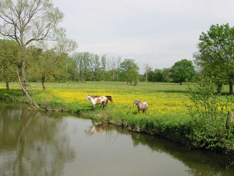 42 Sud de la plaine de Bresse dont la vallee de la Veyle