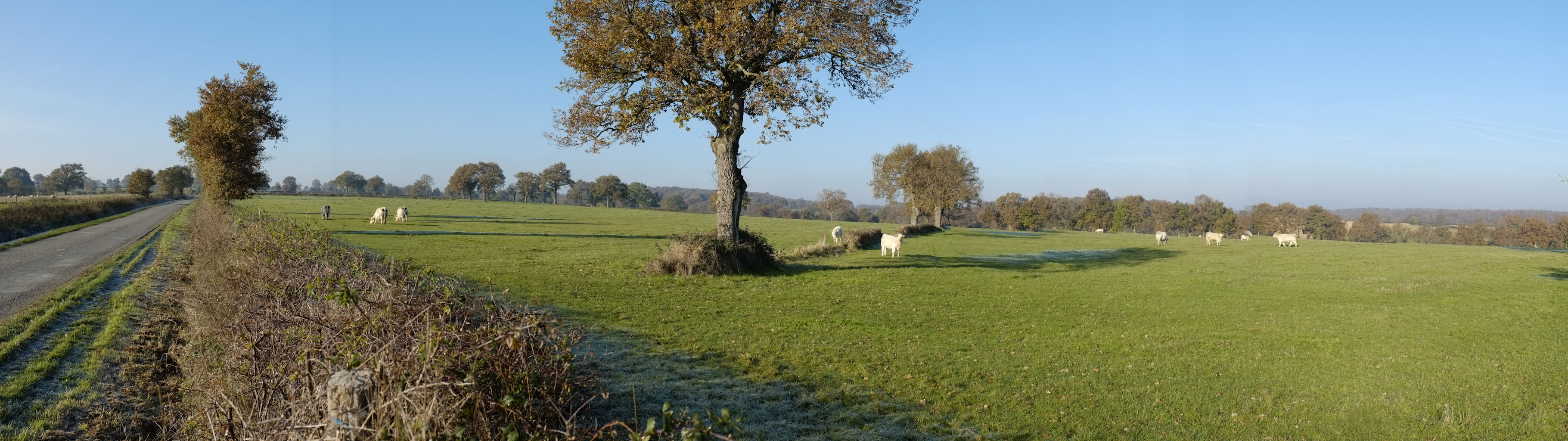 5-02 Bocage du Bas-Berry /