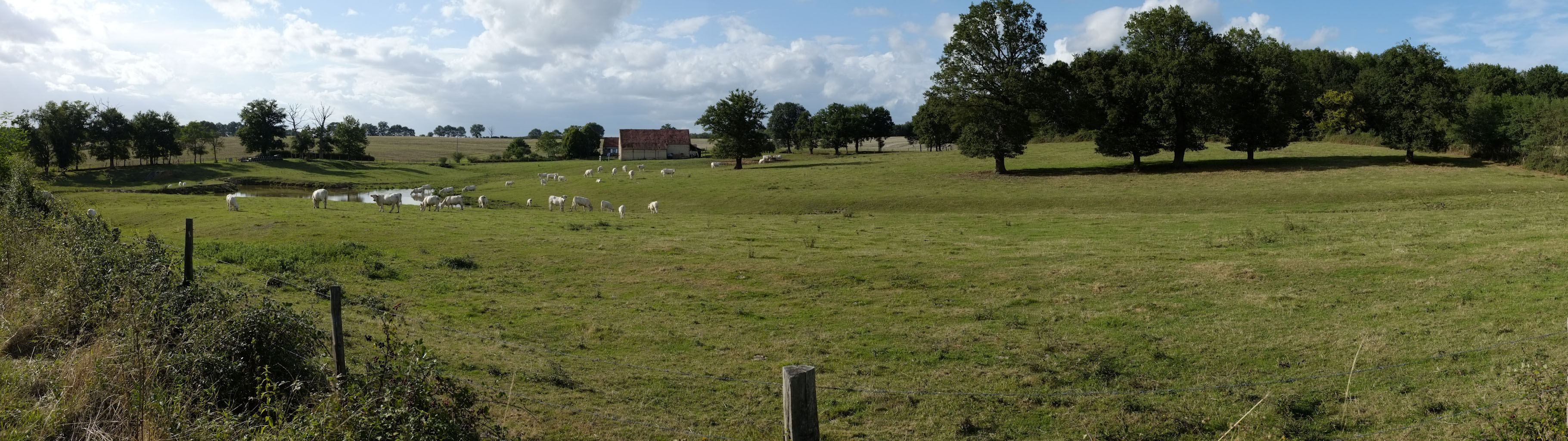 5-04 Sologne bourbonnaise / Etang et pâturages des environs de Chapeau