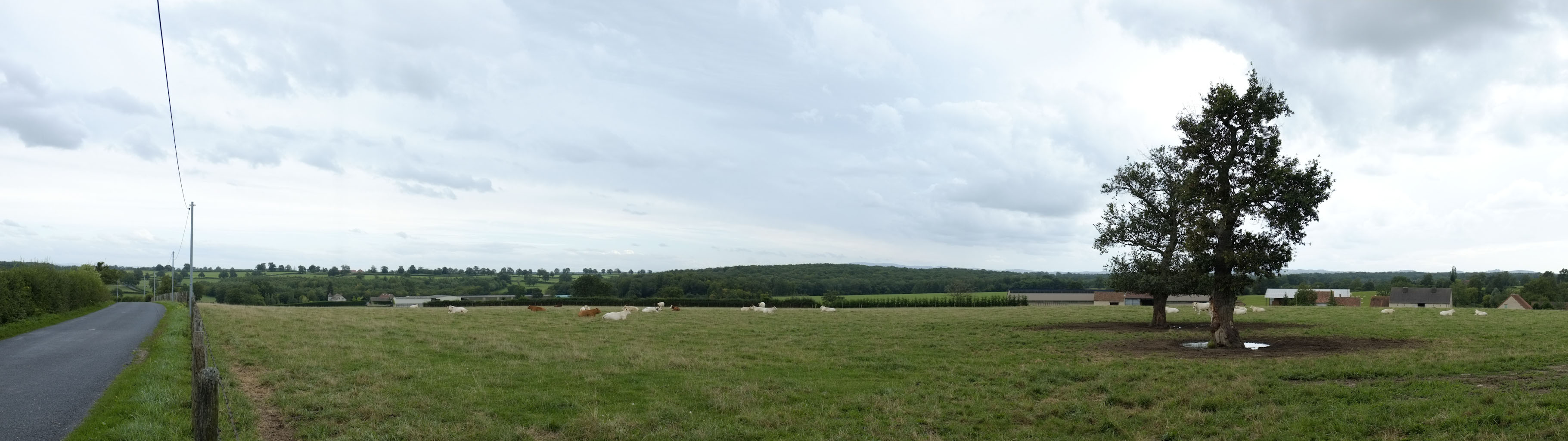 5-05 Bocage des Basses Marches du Bourbonnais / Au bord de la D266, sur le plateau du Donjon