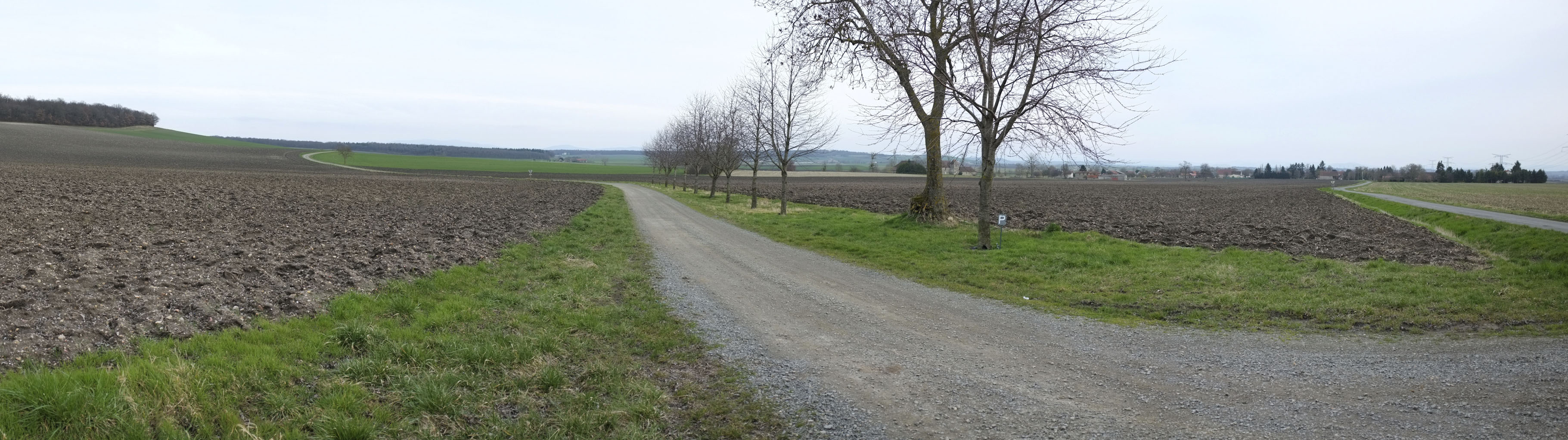 6-02 Limagnes de Gannat et de Saint-Pourçain / Entre Effiat et Biozat