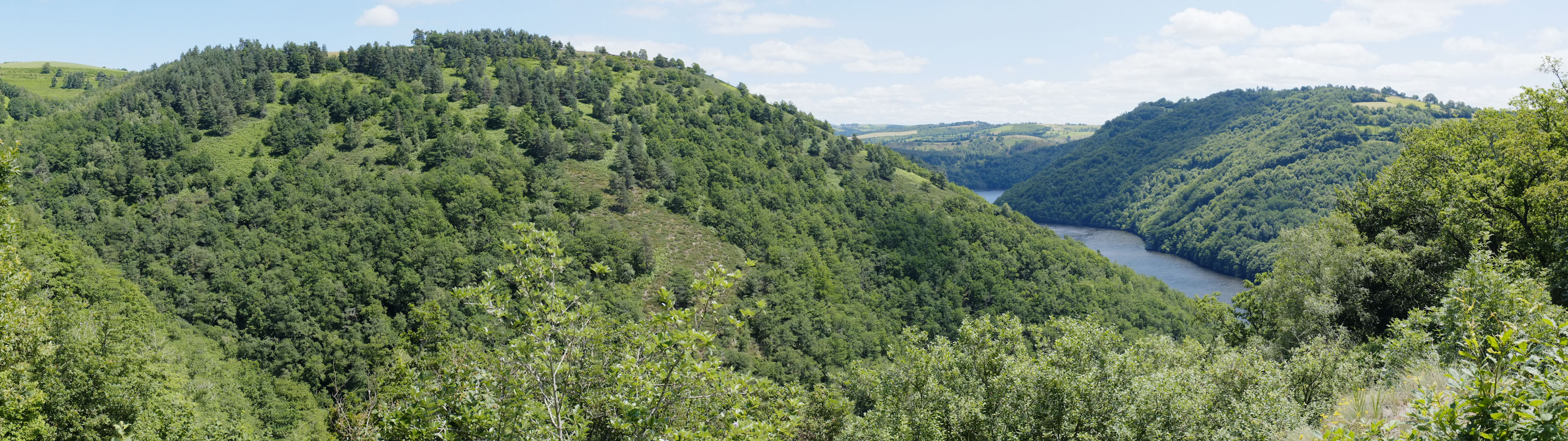 9-04 Vallée et gorges de la Truyère / Retenue de Lanau en descendant depuis Neuvéglise