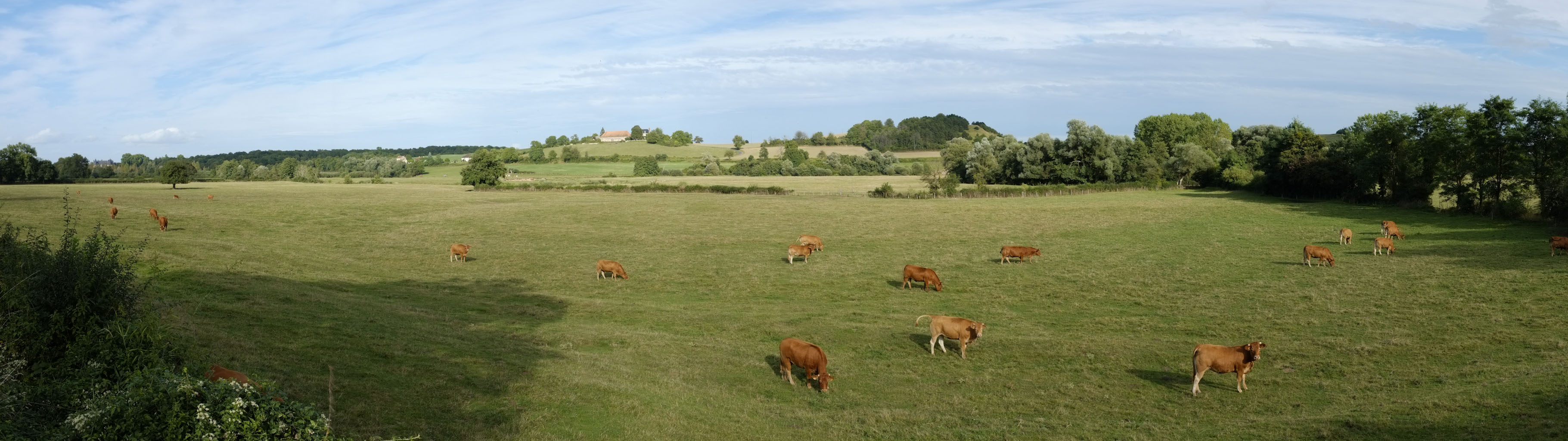 9-11 Vallée de la Besbre / Pâturages de fond de vallée à Jaligny