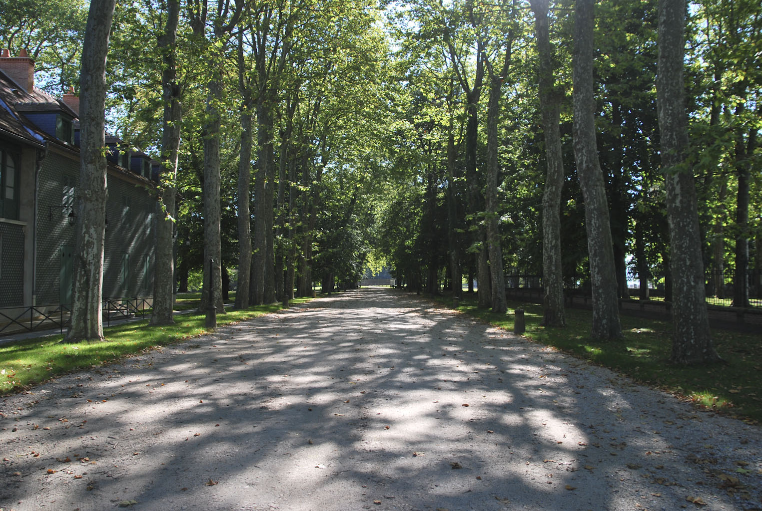 L'allée d'entrée au domaine royal de Randan