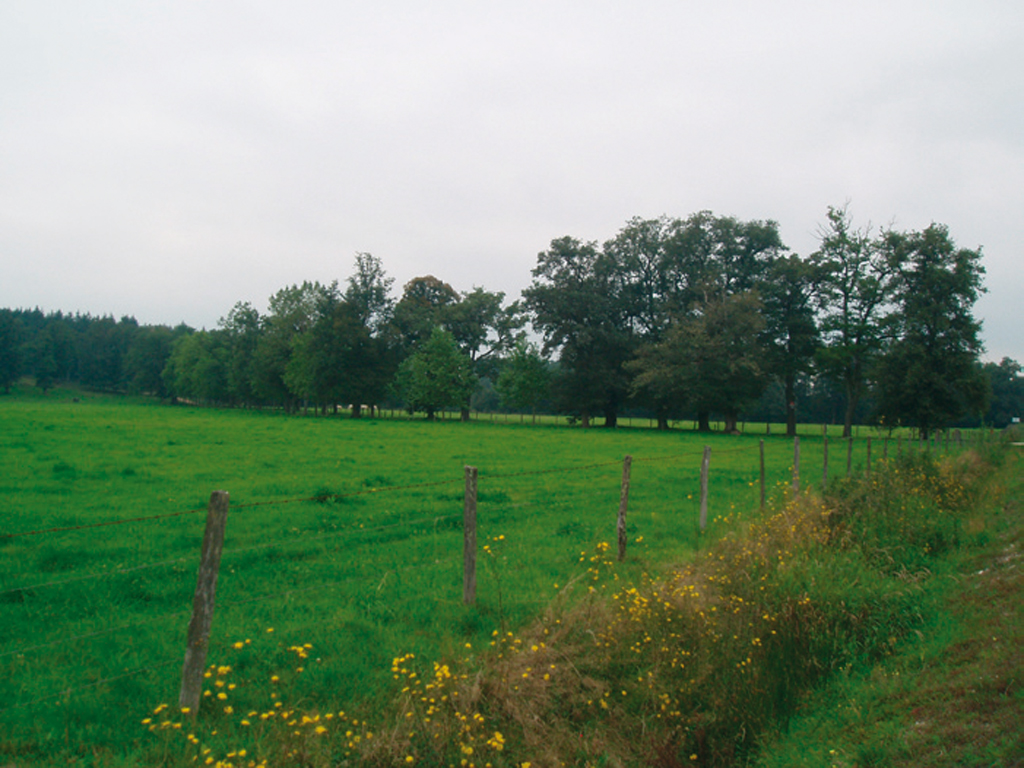 Bocage de la plaine des Varennes