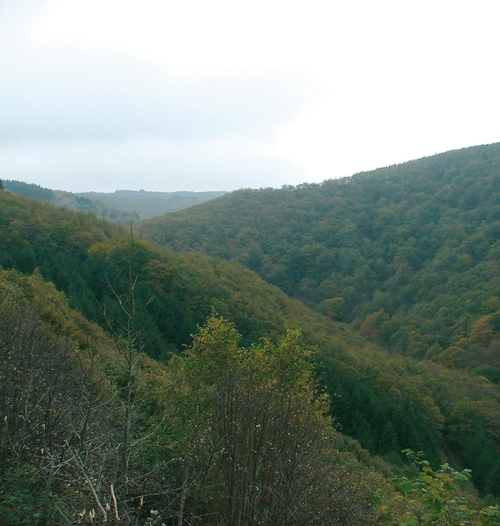 Vallée de la Credogne