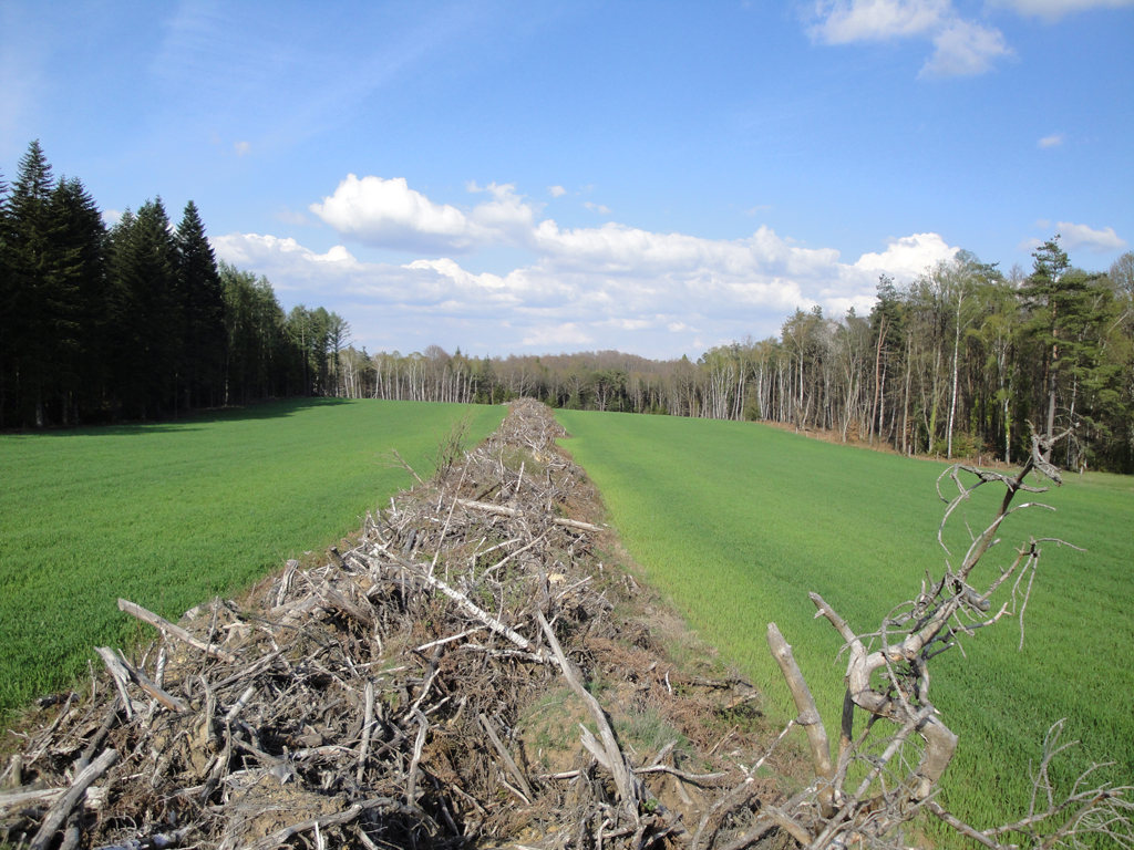 Andin de déforestation 