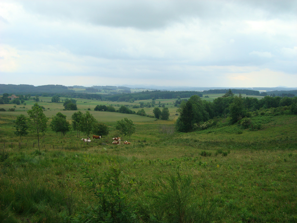 A proximité de Saint-Jean-d'Aubrigoux