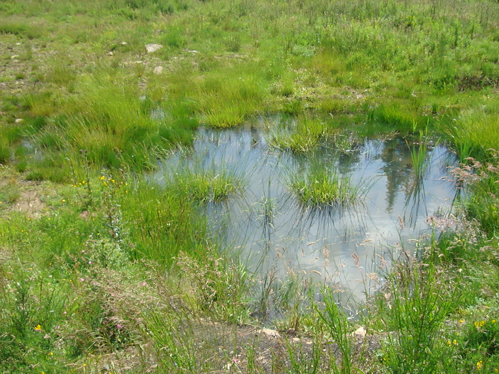 Petite mouillère Petite mouillère
