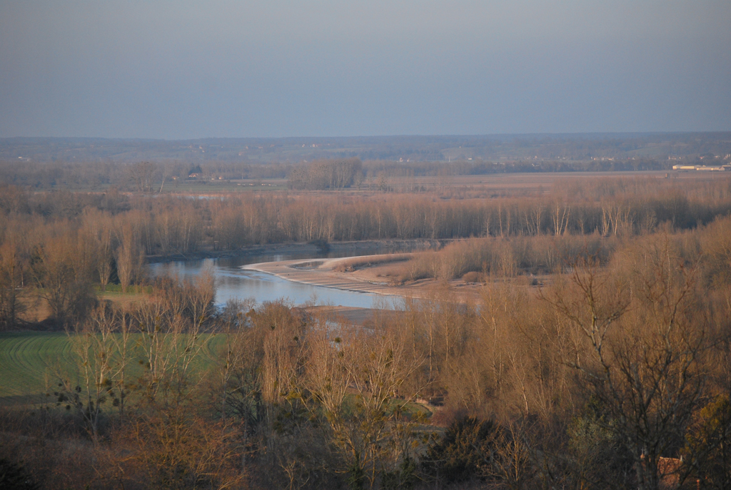 La ripisylve de l'Allier depuis le belvédère de Châtel-de-Neuvre