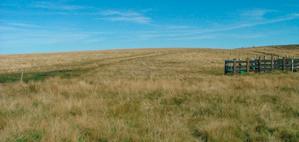 Prairies naturelles des Hautes-Chaumes