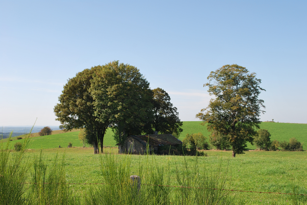 Vacherie, après Freix-Anglards en direction de Saint-Cernin