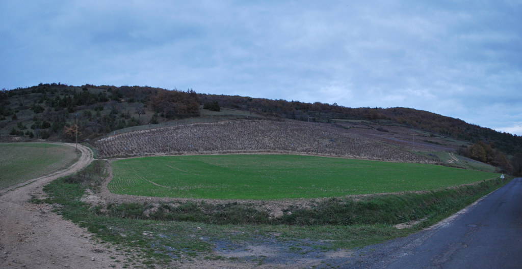 Parcelle viticole de la vallée de Boudes