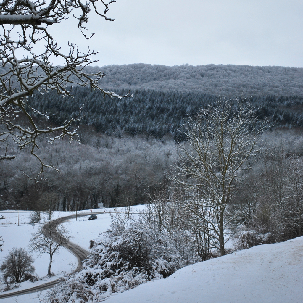 Le Bois de la Comté