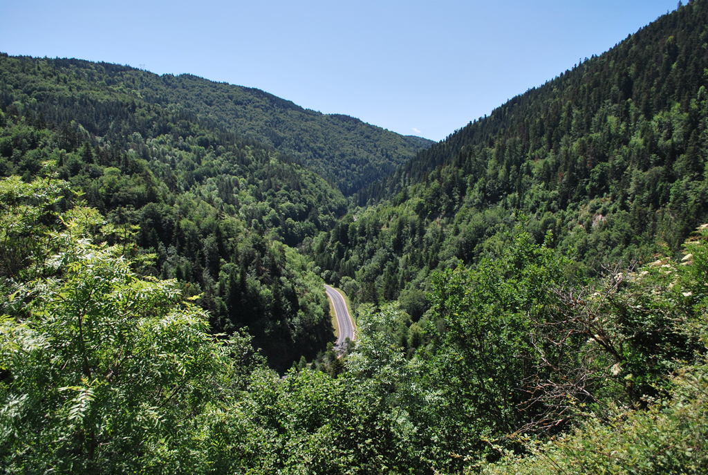 Vallée forestière de l'Ance du sud