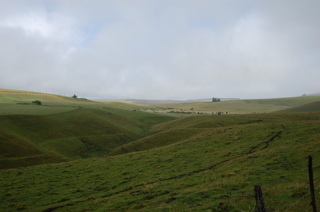 Vallée herbeuse au coeur des terres d'estive de la Godivelle