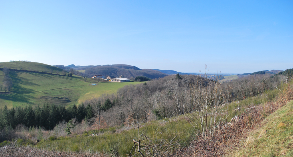 Clairière habitée de la haute vallée du Sichon