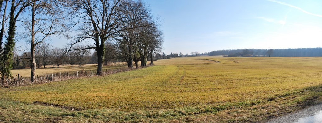 Disparition du bocage, non loin de Meillard